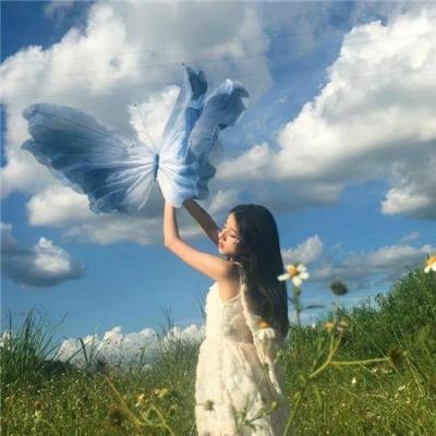 小象守护者
